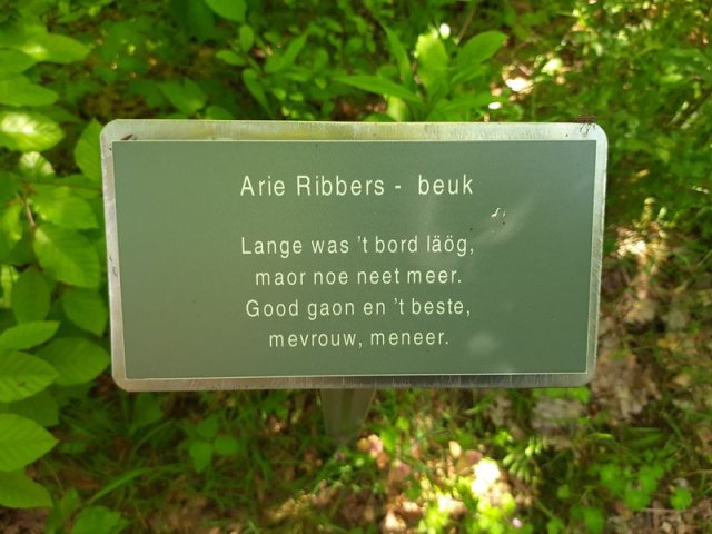 64 Arie Ribbers